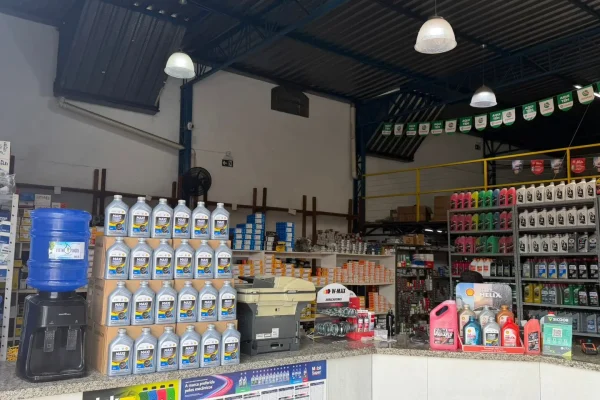 paraja-auto-pecas (1)