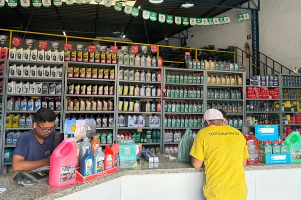 paraja-auto-pecas (2)