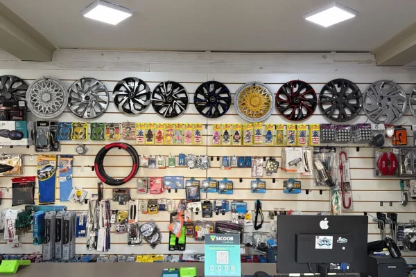 paraja-auto-pecas (4)